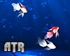 Fish Pet Animated ®