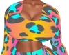 Bimbo Rainbow Cheetah