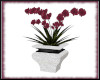 ♥-Pink Planter