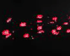 Red Roses Floor...