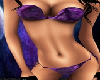 (CRYS) Purple Bikini