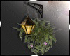 Irish Lantern