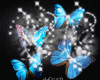 Butterfly2