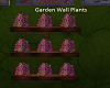 G/Shelf  Wall Plants