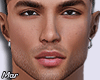 ► Stalon Head