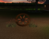 Wagon Wheel/shrubs