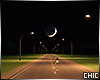 V| The Night  walk