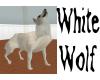 (N) White Wolf