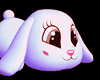 Cute Floor Bunny ~