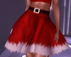 Mrs. Santa Skirt