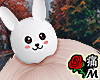 蝶 White Head Bunny