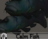 Calm Fish