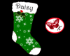 stocking Daisy