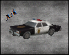 Ash. Police Car