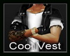 !~TC~! Cool Vest