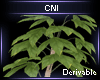 Derivable Plant V12