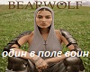 Odin_V_Pole_Voin