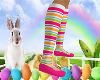 Bunny Dress Shoes/Socks