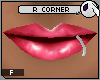 ~DC) R Corner Lip Ring