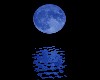 Blue Moon at Midnite