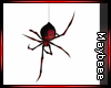 BlackWidow Spider