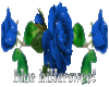 blue bittersweet