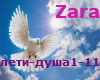 Zara1