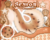 ✦ Biscotto | Tail