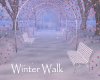 AV Winter Walk