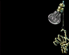 Z* Valentine Shiny B. P.