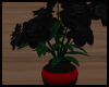 Black Flowers V2