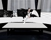 Black and White table