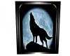 Blue moon Wolf Pic