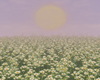 Spring Ambient Photoroom