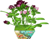 pot flower life