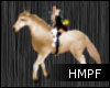 [HM]Rideable Horse