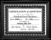 Hayabusa Adoption