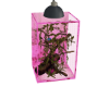 pet cage
