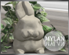 ~M~ | Dahlia Bunny Plant