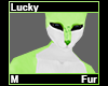 Lucky Fur M