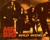 Mr. Big - Wild World