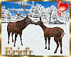 [Efr] Deers Kissing