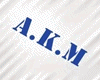 [AKM] BLUE BODYSUIT