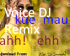 Voice DJ Remix Lucu