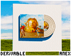 ♚ Vinyl with disc