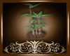 Oriental Plant 2