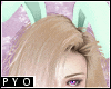PYO| Mint bunny ears