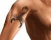 skorpion tatoo