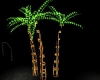 {CB} Neon palm tree