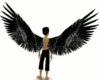 Black Faded Angel Wings